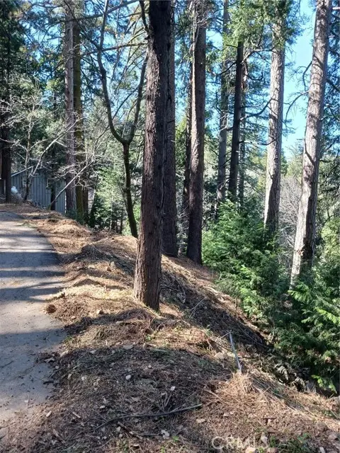 35 Spring Drive, Cedarpines Park, CA 92322 - Image #2