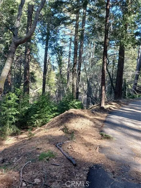 35 Spring Drive, Cedarpines Park, CA 92322 - Image #3