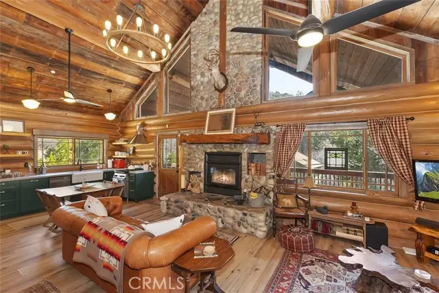 29632 Hook Creek Road, Cedar Glen, CA 92321 - #1