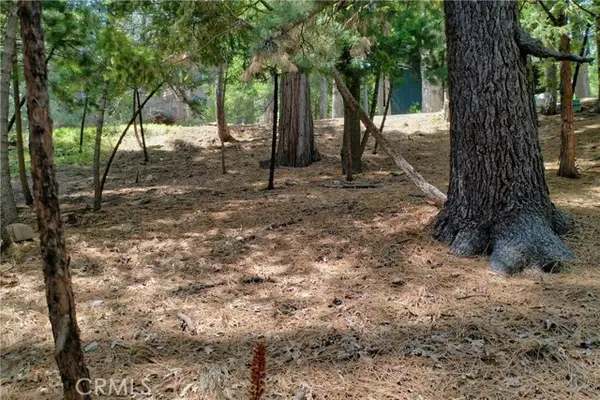 0 Terrace, Lake Arrowhead, CA 92352