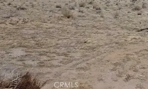 0 Hollywood, Twentynine Palms, CA 92277 - #1