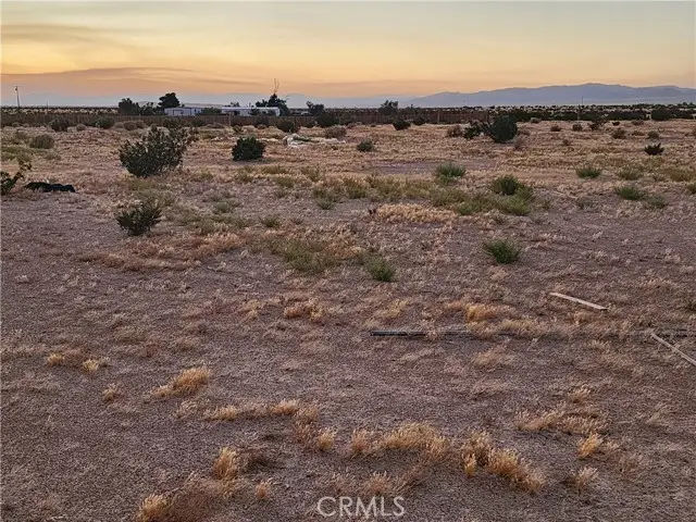 36955 Troy Road, Newberry Springs, CA 92365 - #2