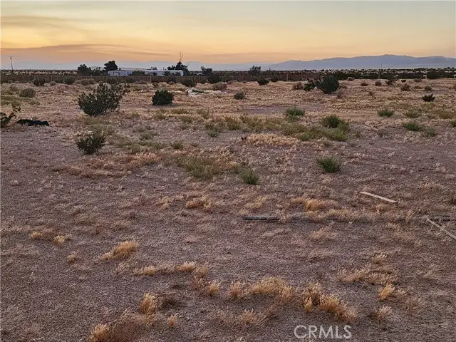 47701 Palma Vista Road, Newberry Springs, CA 92365 - #3