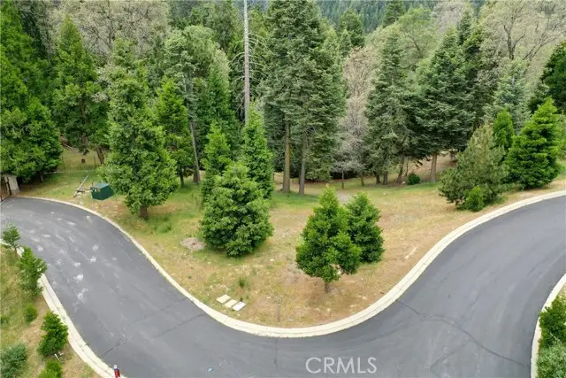 275 Ponderosa Peak Road, Lake Arrowhead, CA 92352 - #3