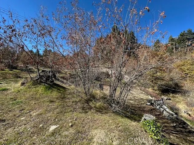 2379 Chicago Drive, Running Springs, CA 92382 - Image #3
