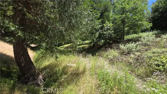 0 Mojave River Road, Cedarpines Park, CA 92322 - #2