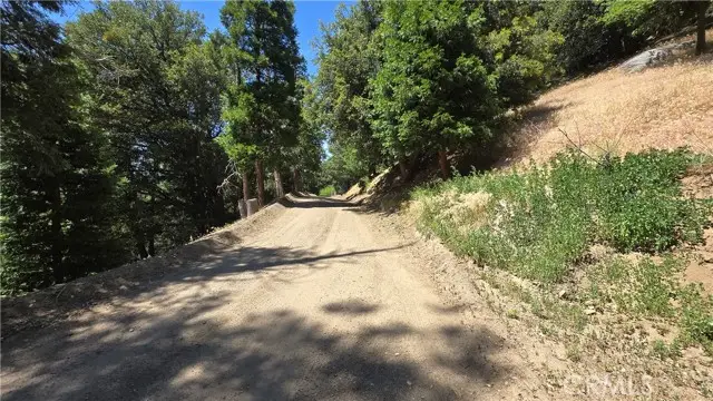 0 Mojave River Road, Cedarpines Park, CA 92322 - #3