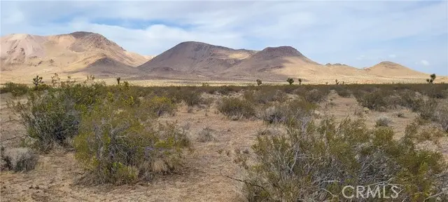 0 Flint, Mojave, CA 93501 - #3