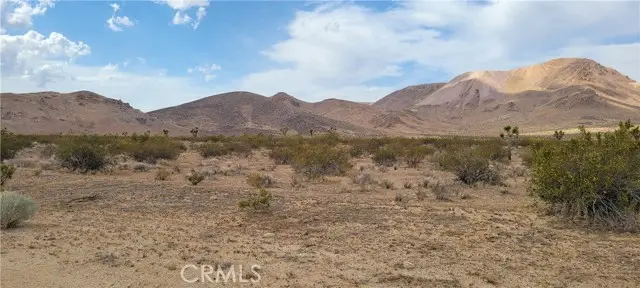 0 Ericka Ave, Mojave, CA 93501 - #3
