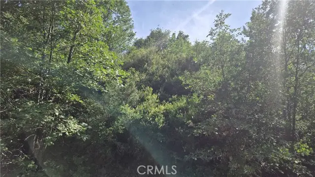 0 Elder Drive, Cedar Glen, CA 92321 - #1