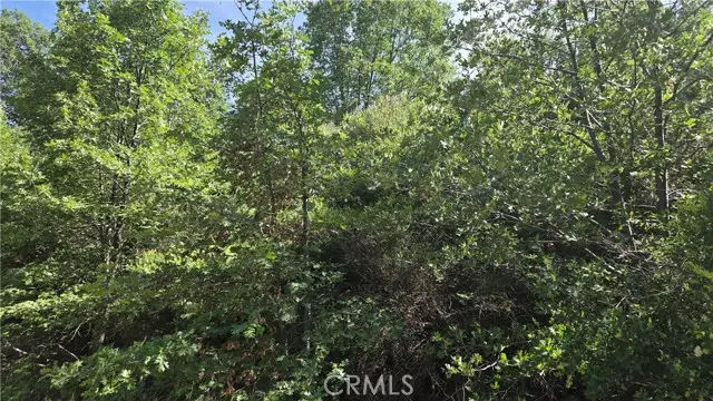 0 Elder Drive, Cedar Glen, CA 92321 - #3