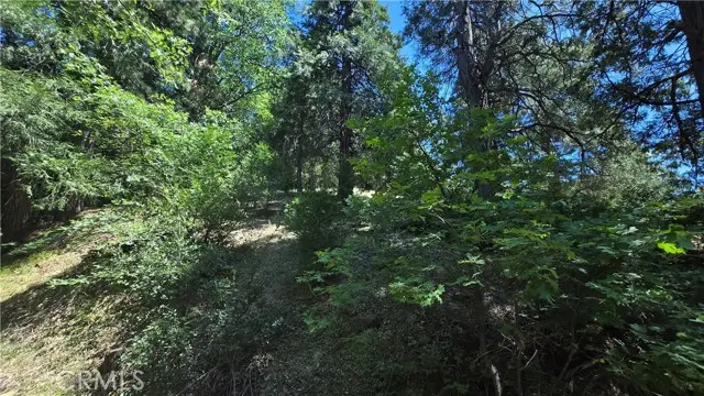 22494 Mojave River Road, Cedarpines Park, CA 92322 - #2