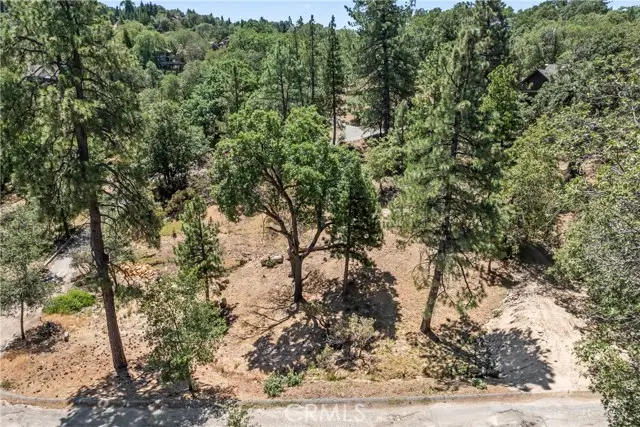 27115 Spring Lane, Lake Arrowhead, CA 92352 - #2