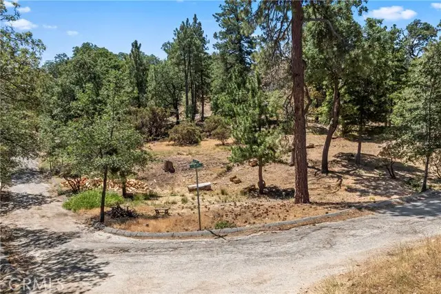 27115 Spring Lane, Lake Arrowhead, CA 92352 - #3