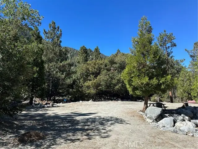 41385 Alder Drive, Forest Falls, CA 92339 - #3