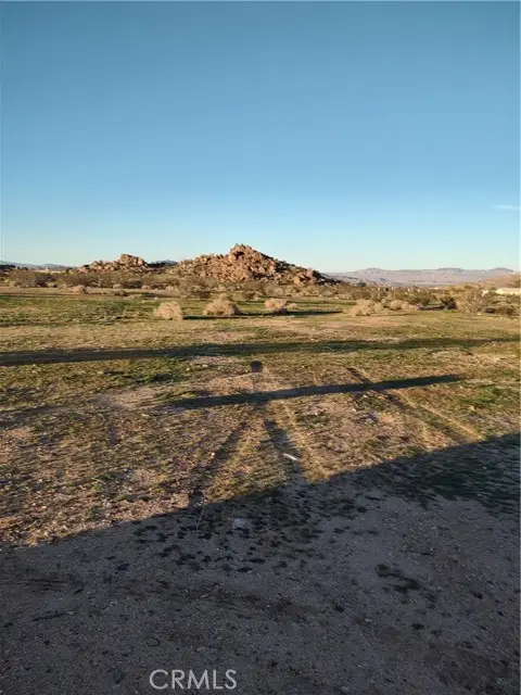 55930 Cone Blvd, Landers, CA 92285 - #2
