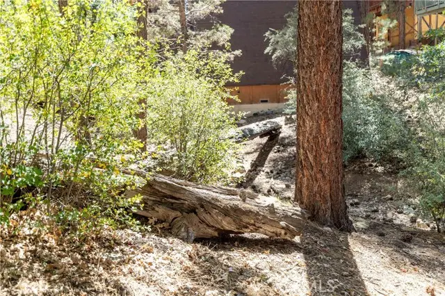 0 Kern, Sugarloaf, CA 92386 - #1