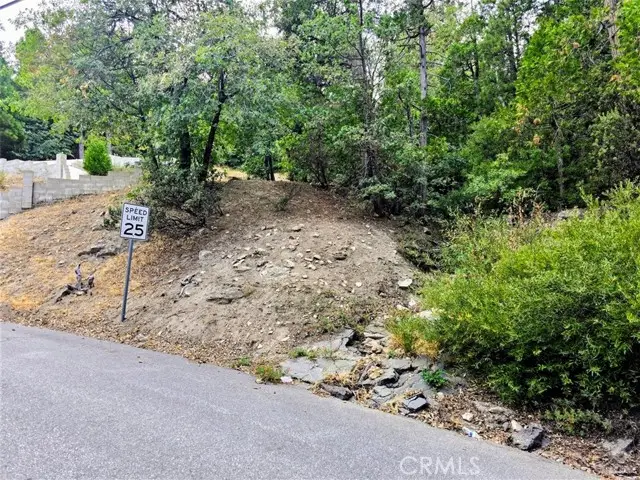 0 Zurich Drive, Lake Arrowhead, CA 92352 - #2