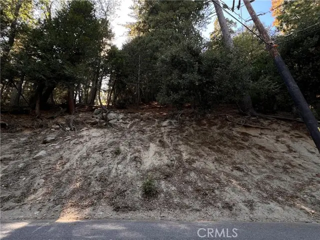 0 Lausanne, Crestline, CA 92325 - #3