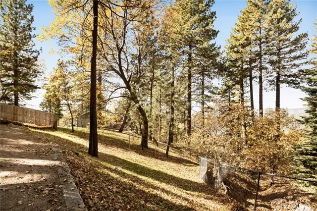 30556 Live Oak, Running Springs, CA 92382 - Image #3