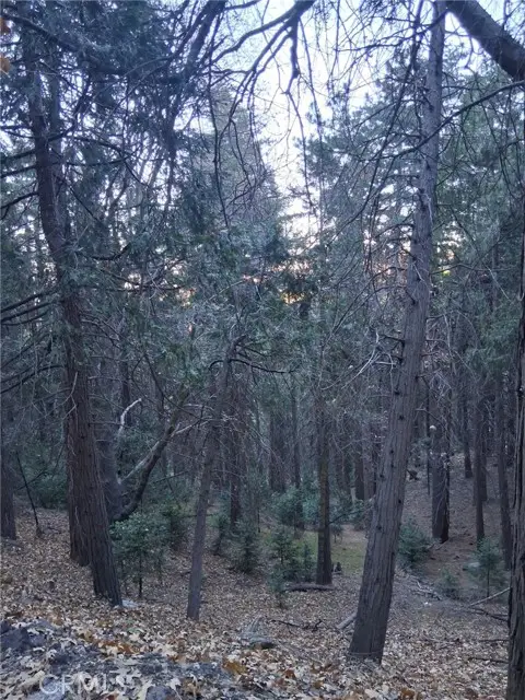 0 Reservoir, Cedarpines Park, CA 92322