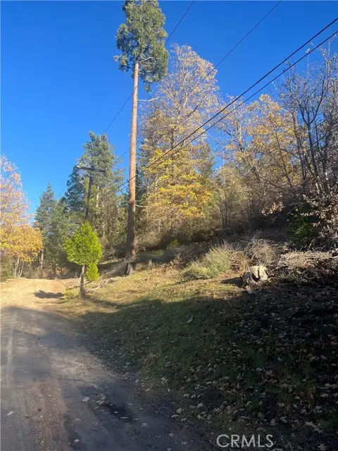 29834 Juniper Drive, Cedar Glen, CA 92321 - #3