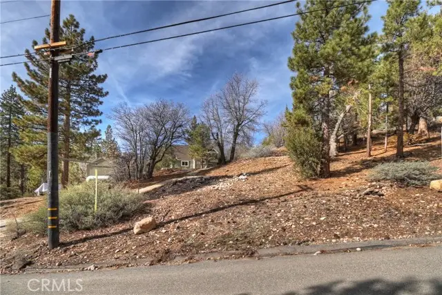 1115 Fawnskin Drive, Fawnskin, CA 92333 - #3