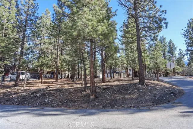 0 Dutch, Big Bear City, CA 92314 - #1