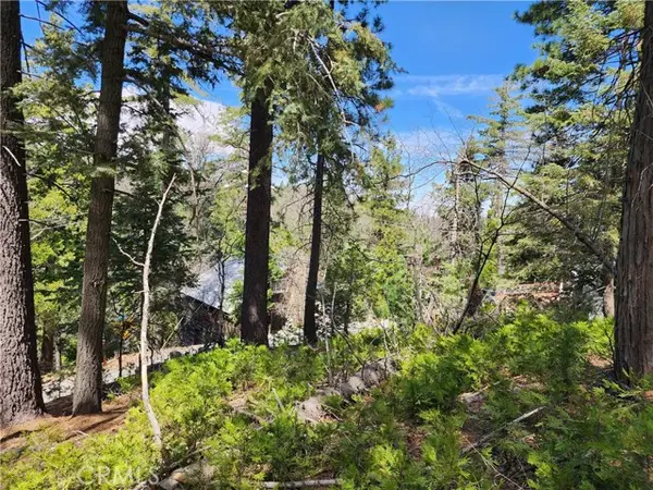 586 Rose, Twin Peaks, CA 92391