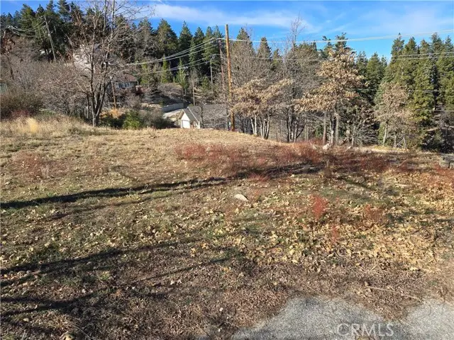 2350 deep creek, Running Springs, CA 92382 - Image #1