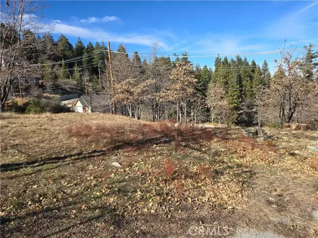 2350 deep creek, Running Springs, CA 92382 - Image #2