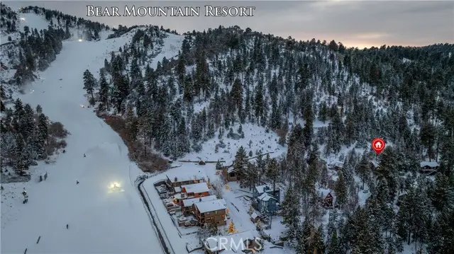 42947 Dogwood Drive, Big Bear Lake, CA 92315 - #3