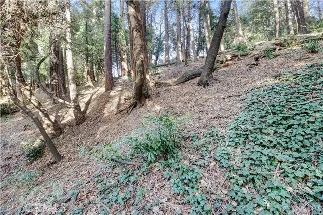 2661 Scenic, Crestline, CA 92325 - #1