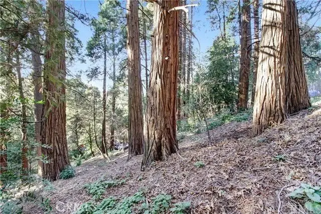 2661 Scenic, Crestline, CA 92325 - #3