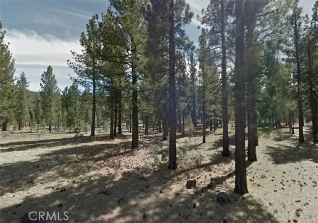 0 Avenue E, Big Bear City, CA 92314 - #3