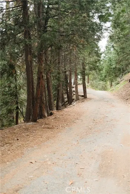 0 Pioneer, Lake Arrowhead, CA 92352 - #1