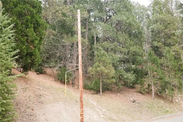 0 Pioneer, Lake Arrowhead, CA 92352 - #3