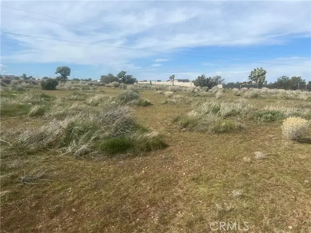 0 Vinton, Phelan, CA 92371 - Image #3