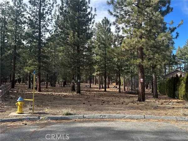 1801 Shady, Big Bear City, CA 92314