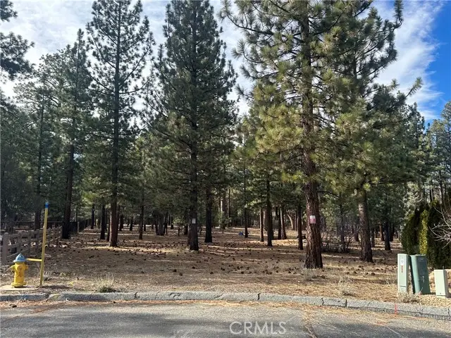 1801 Shady, Big Bear City, CA 92314 - Image #3