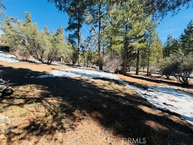 808 Antelope Mountain Drive, Big Bear City, CA 92314 - #1