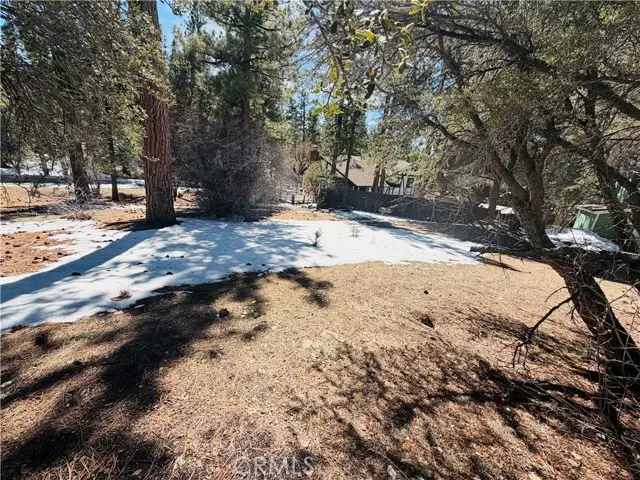 808 Antelope Mountain Drive, Big Bear City, CA 92314 - #2
