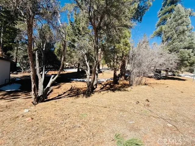 808 Antelope Mountain Drive, Big Bear City, CA 92314 - #3
