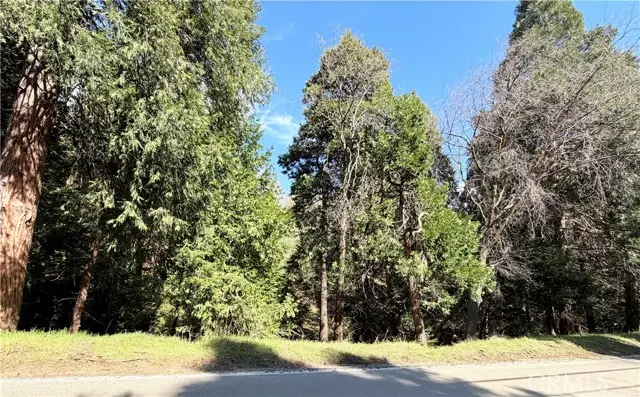 0 Hook Creek, Cedar Glen, CA 92321 - #1