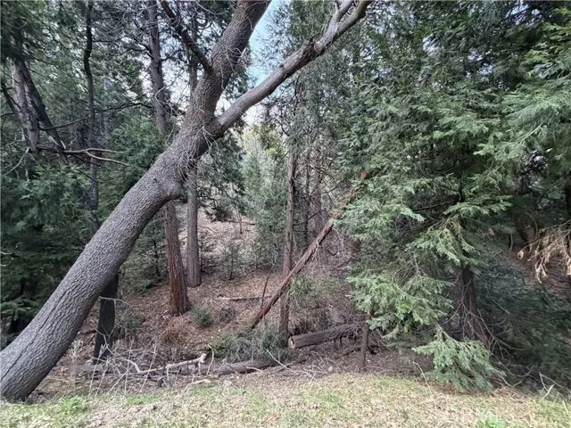 0 Hook Creek, Cedar Glen, CA 92321 - #3