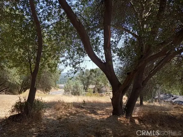 0 Live Oak Drive, Oakhurst, CA 93644