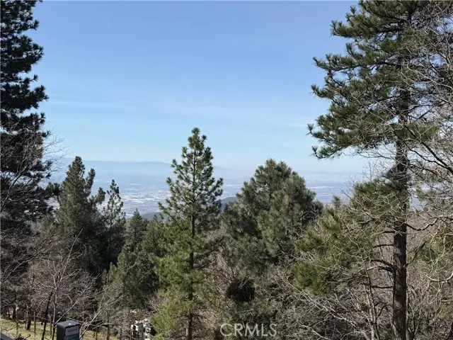 30445 Live Oak, Running Springs, CA 92382 - #2