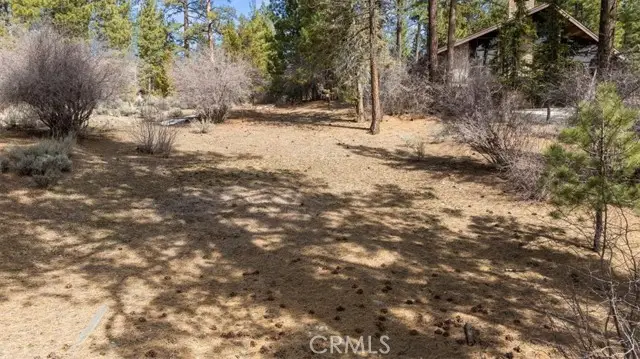 293 Catalina, Big Bear Lake, CA 92315 - #1