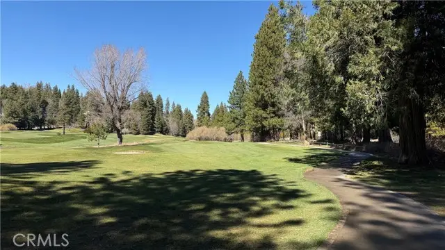 0 Grass Valley, Twin Peaks, CA 92391 - #1