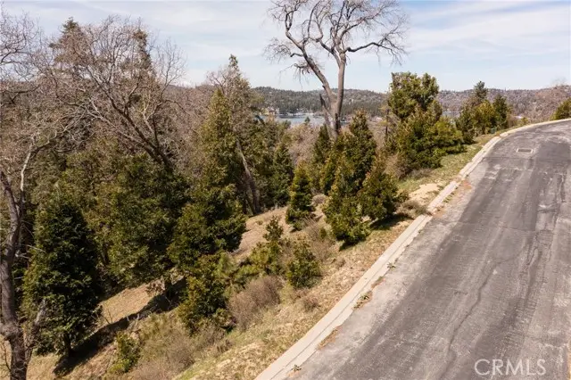 226 Hidden Forest Road, Lake Arrowhead, CA 92352 - #3